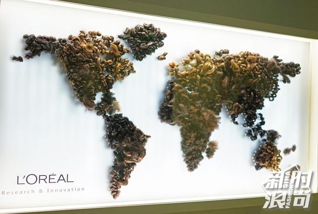 Schematic diagram of global hair color distribution of L 'Oré al Paris Research Center