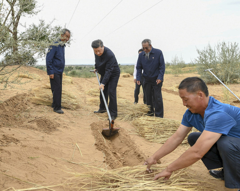 On August 21, 2019, the General Secretary of the Supreme Leader was in Babusha Forest Farm, Gulang County, Wuwei City, Gansu Province, and turned over the sand and ditched with the forest farm staff.